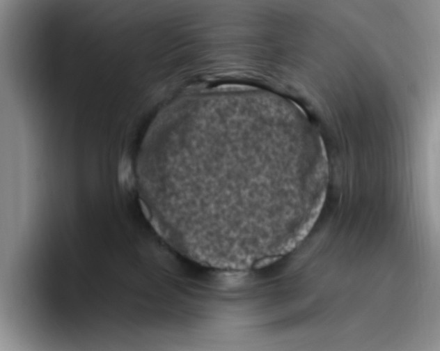 X0000096410089200802211235