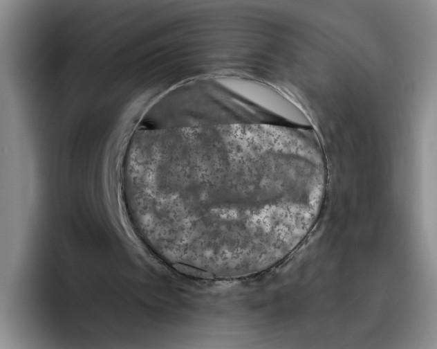 X0000096410097200802211234