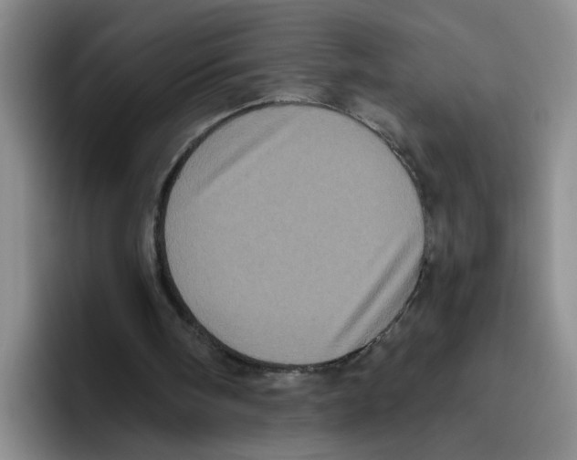 X0000096410098200802211234