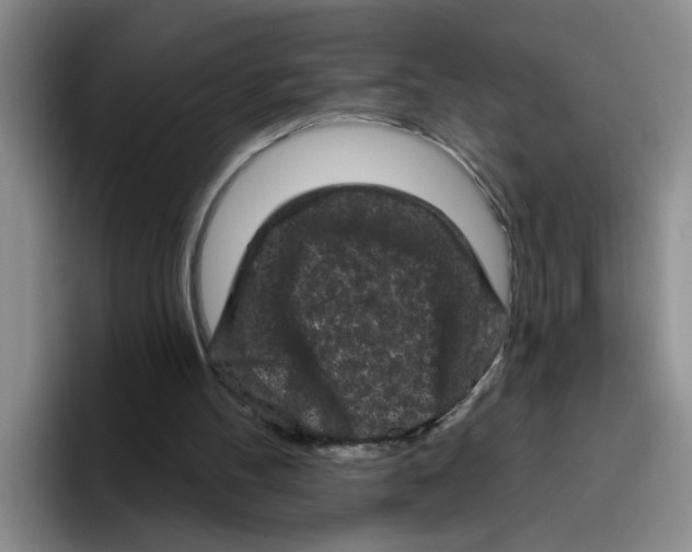 X0000096410100200802211234