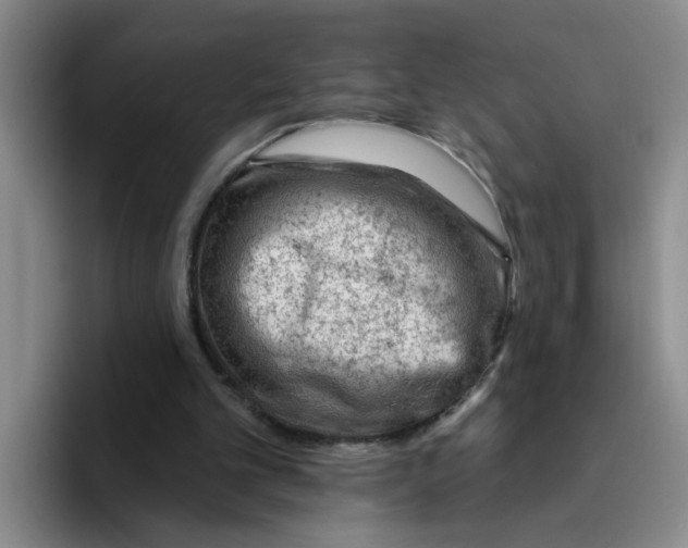 X0000096410101200802211234