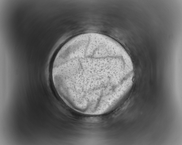 X0000096410102200802211234