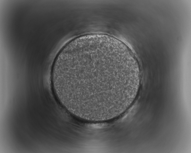 X0000096410103200802211234