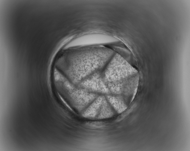 X0000096410104200802211234