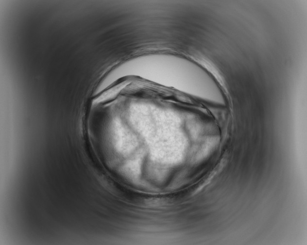 X0000096410105200802211234