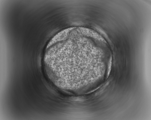 X0000096410106200802211234