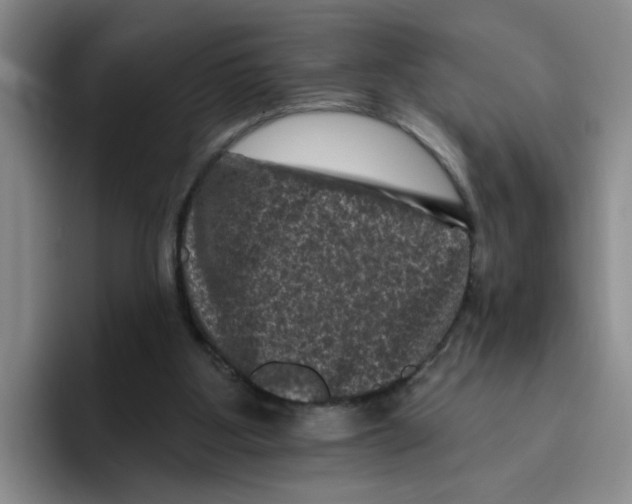 X0000096410107200802211234
