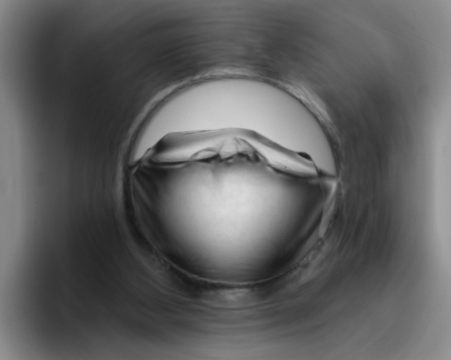 X0000096410108200802211234