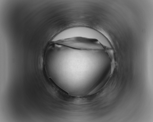 X0000096410109200802211234