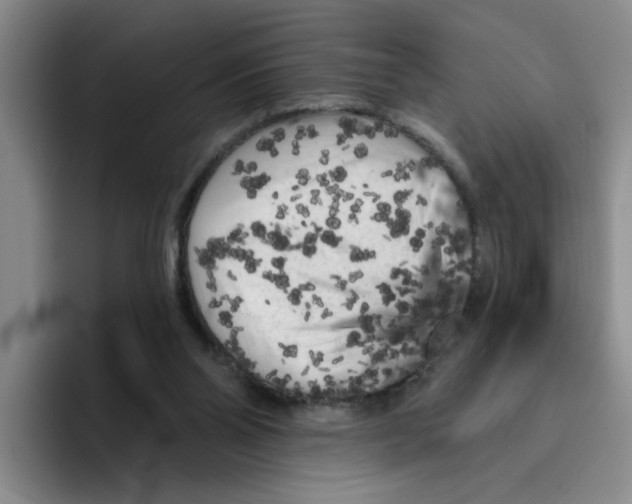 X0000096410110200802211234