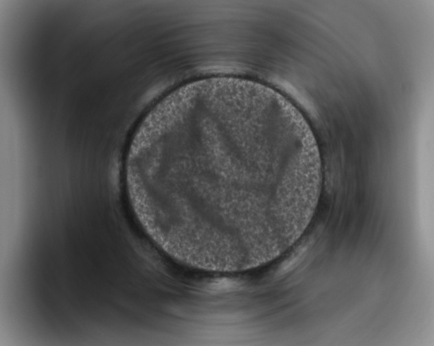 X0000096410111200802211234