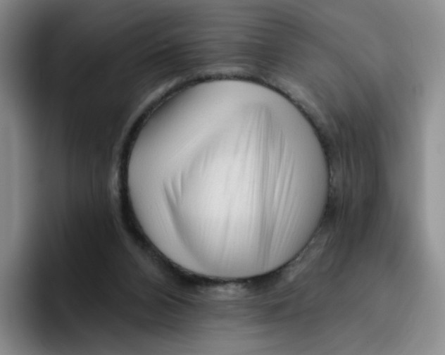 X0000096410112200802211234