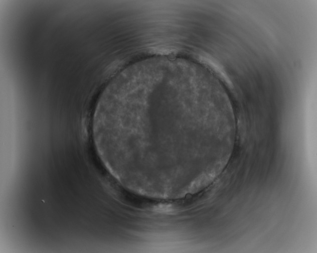 X0000096410114200802211234