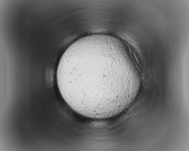 X0000096410115200802211234