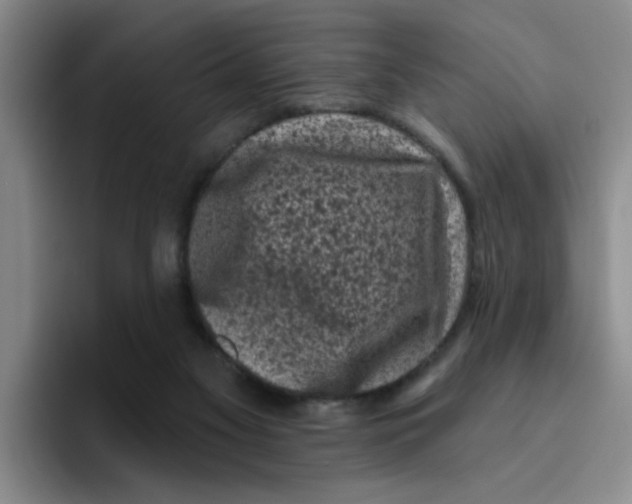 X0000096410117200802211234