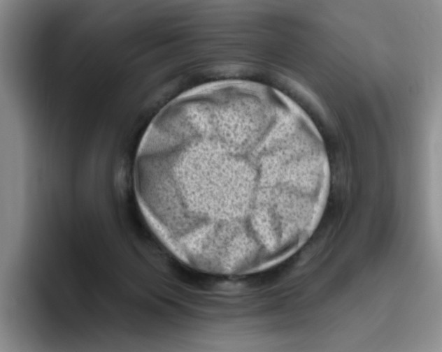 X0000096410119200802211234