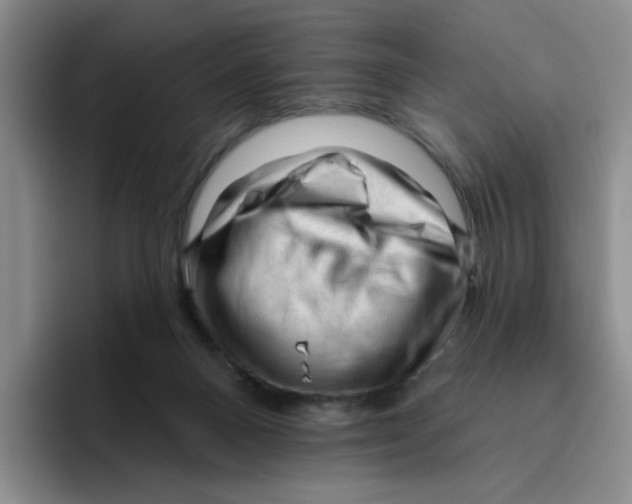 X0000096410120200802211234