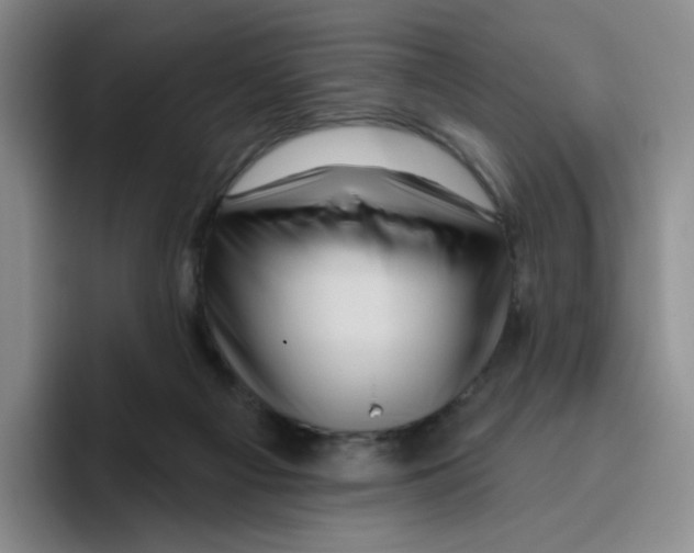 X0000096410121200802211234