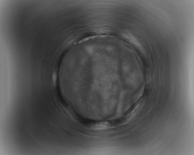X0000096410124200802211234