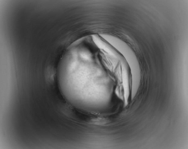 X0000096410125200802211234