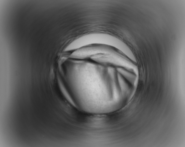 X0000096410128200802211234