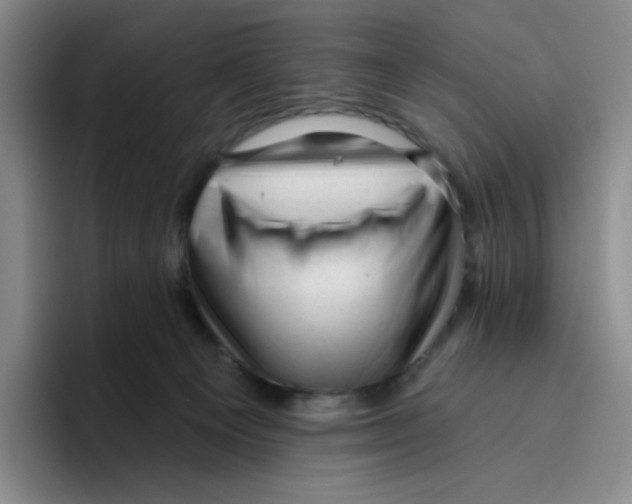 X0000096410129200802211233