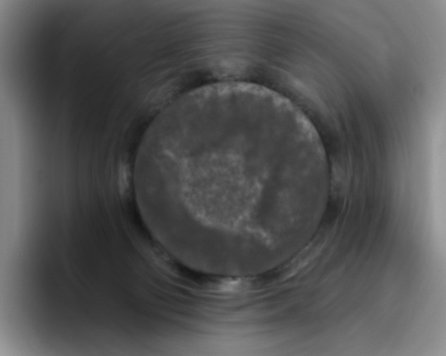 X0000096410130200802211233