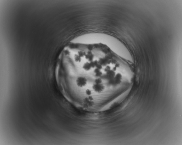 X0000096410131200802211233