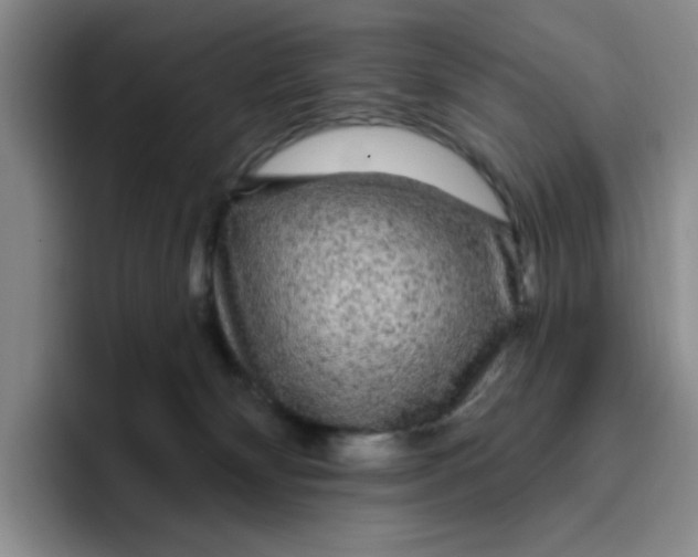 X0000096410132200802211233
