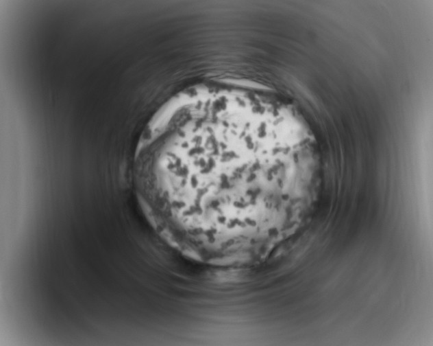 X0000096410134200802211233