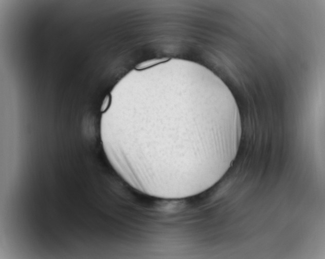 X0000096410135200802211233
