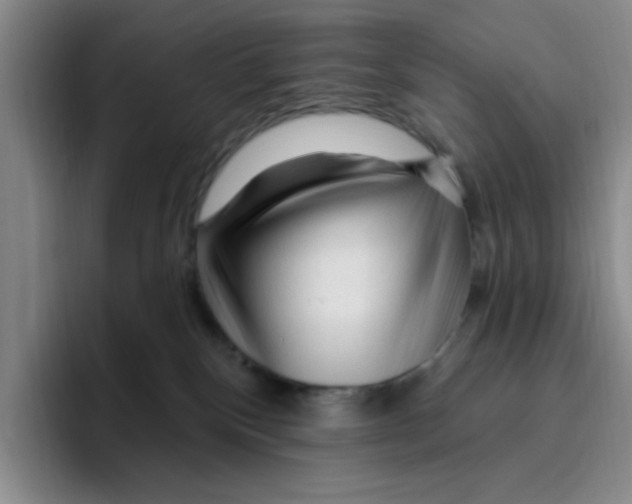 X0000096410136200802211233