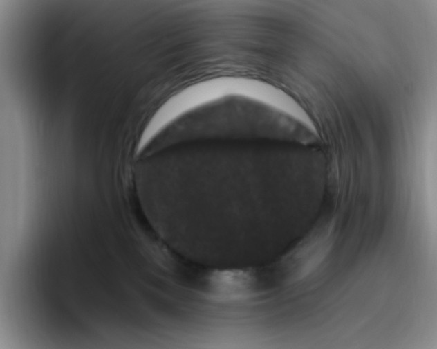 X0000096410137200802211233