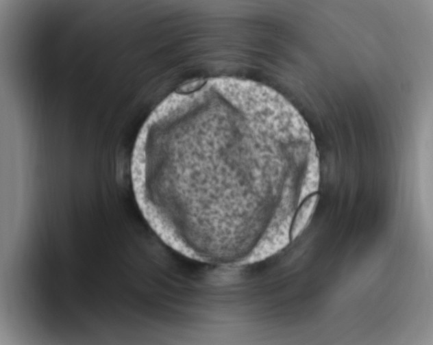 X0000096410138200802211233