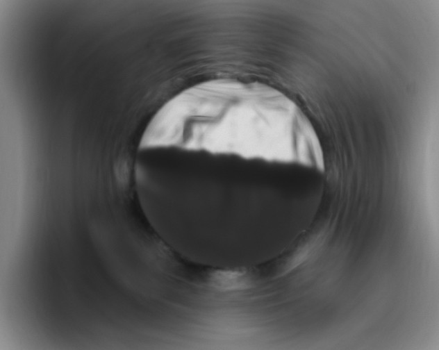 X0000096410139200802211233