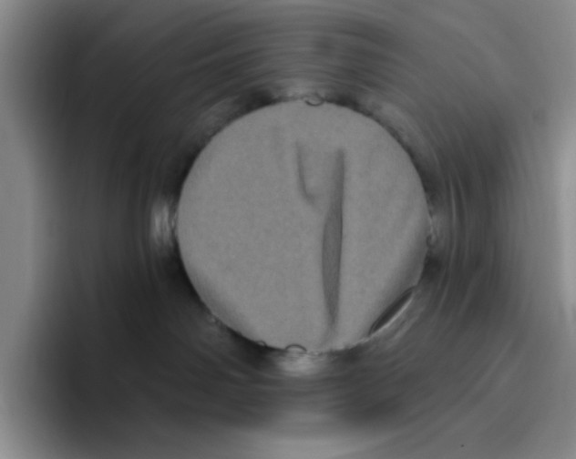 X0000096410142200802211233