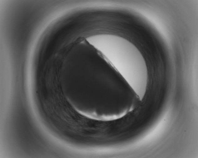 X0000096410143200802211233