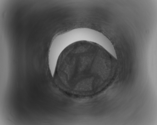 X0000096410144200802211233