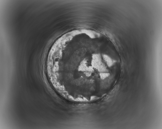 X0000096410145200802211233