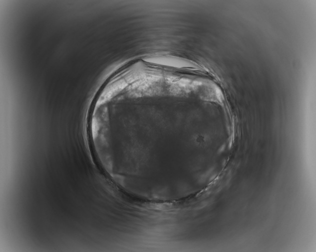 X0000096410147200802211233
