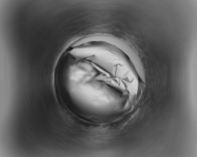 X0000096410148200802211233