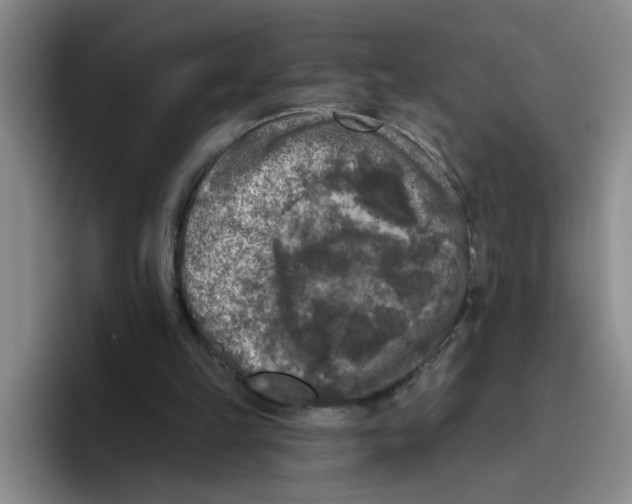 X0000096410149200802211233