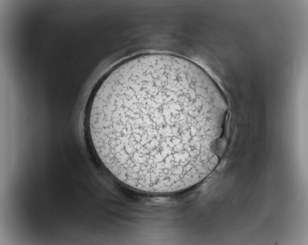 X0000096410151200802211233