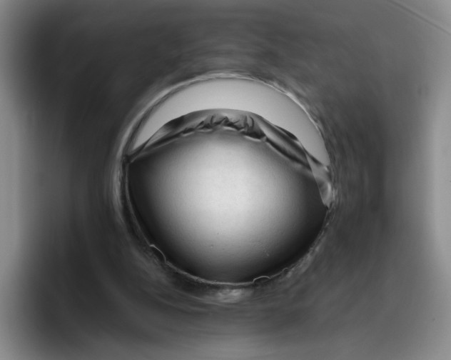 X0000096410152200802211233