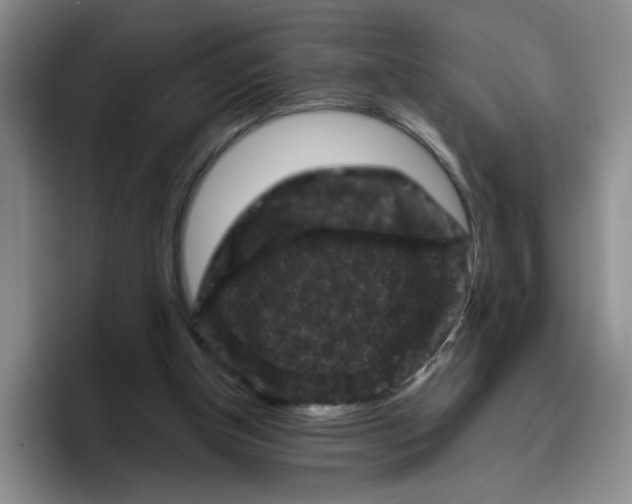 X0000096410154200802211233