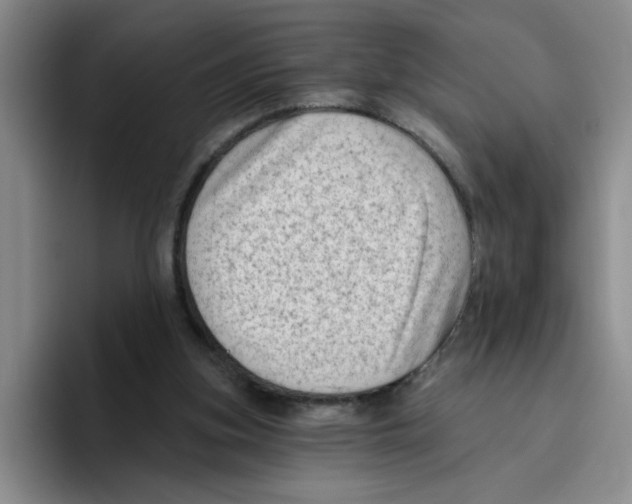 X0000096410155200802211233