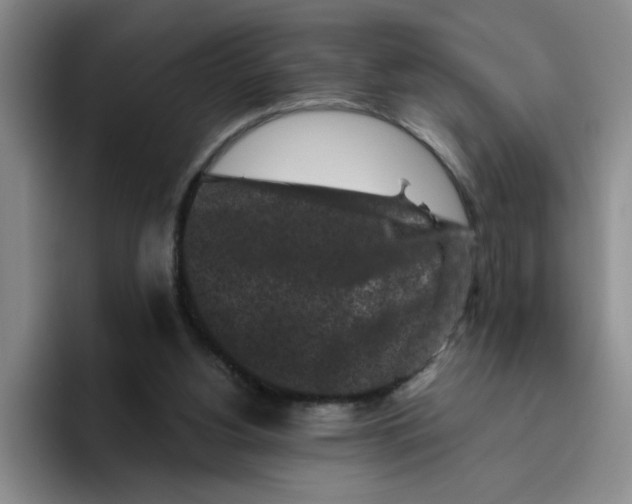 X0000096410156200802211233