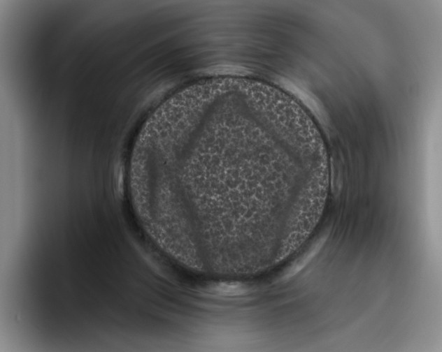 X0000096410157200802211233