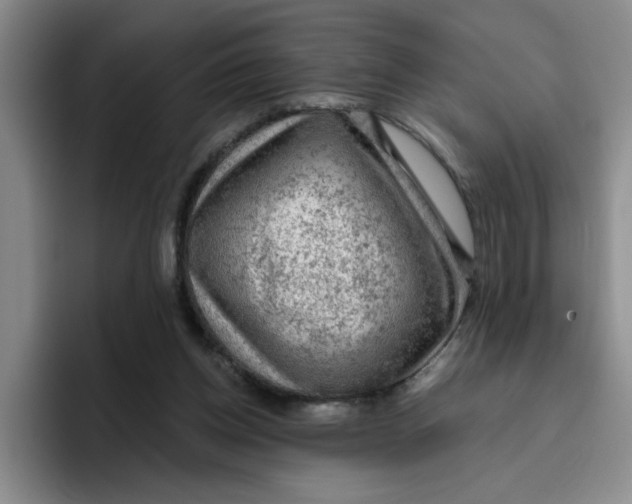 X0000096410158200802211233