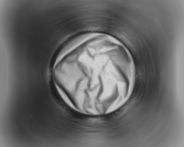 X0000096410160200802211233